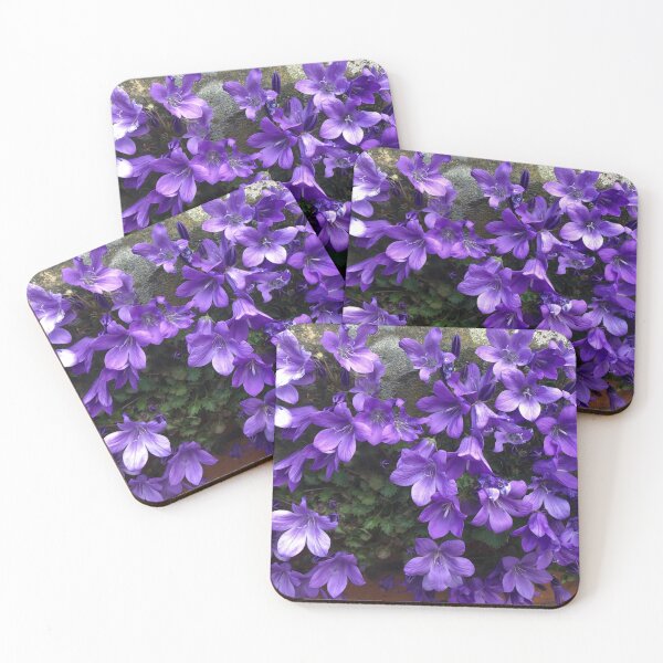 Item preview, Siberian Bellflower on Garden Wall designed and sold by Violaman.