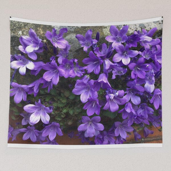 Item preview, Siberian Bellflower on Garden Wall designed and sold by Violaman.