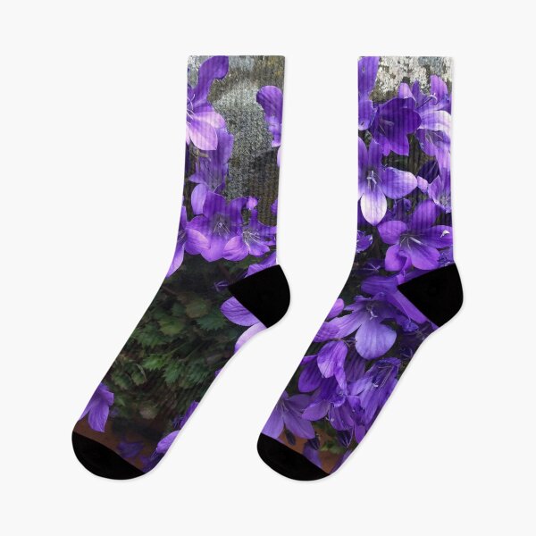 Item preview, Siberian Bellflower on Garden Wall designed and sold by Violaman.