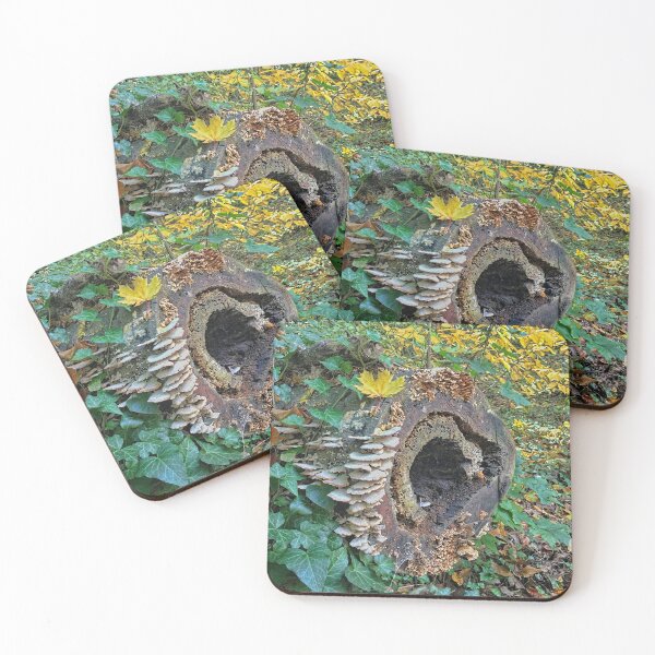 Item preview, Pleurotus Ostreatus Sold Here  designed and sold by Lynney.