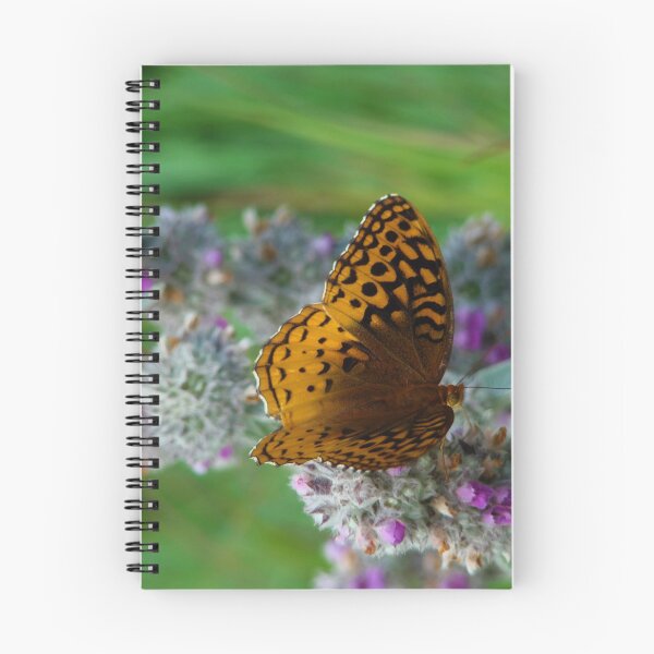 Item preview, At Rest designed and sold by AGODIPhoto.