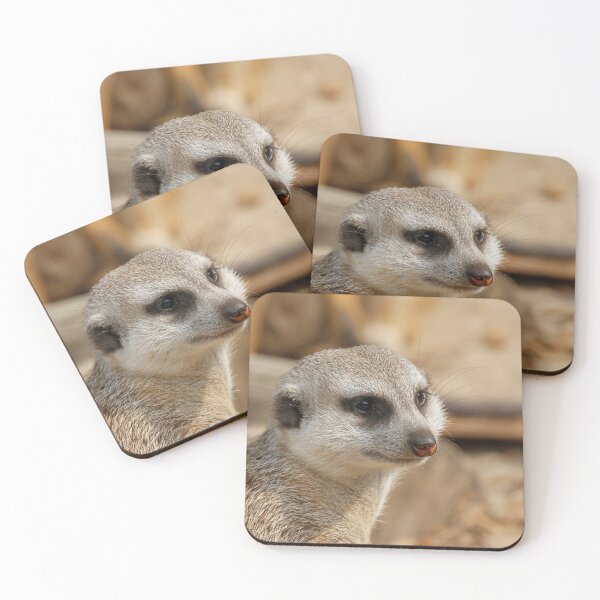 Item preview, Meerkat 059 designed and sold by JAMFoto.