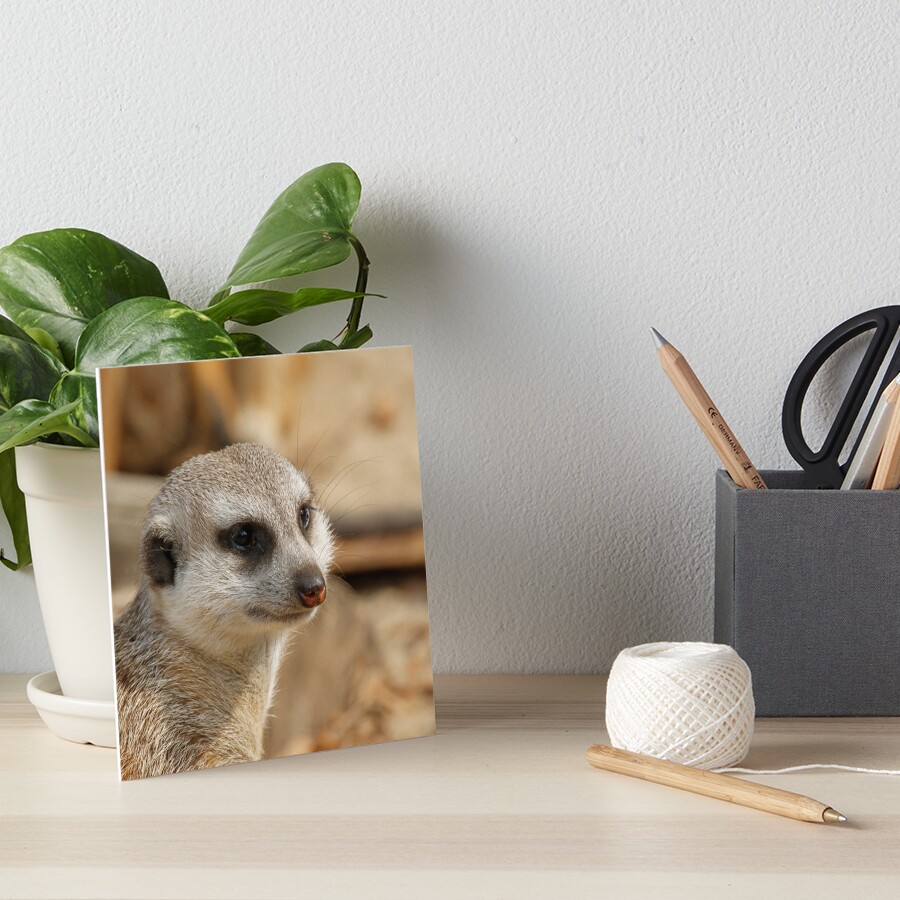 Item preview, Art Board Print designed and sold by JAMFoto.