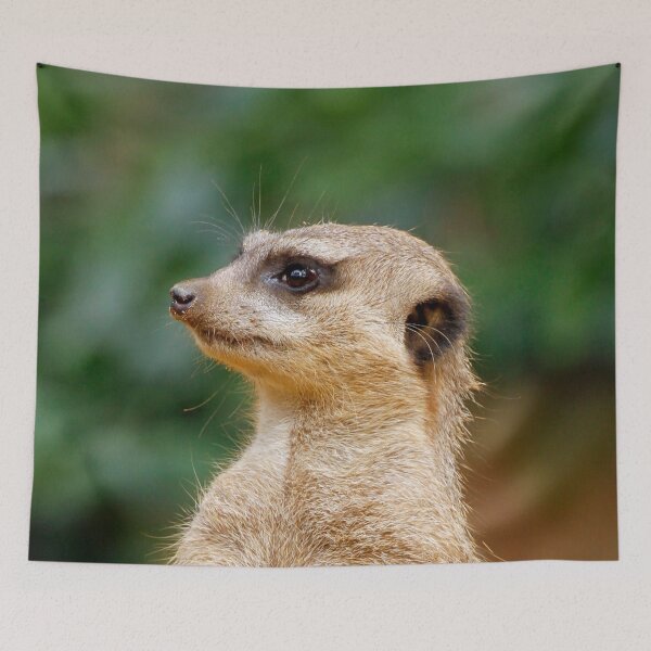 Item preview, Meerkat 060 designed and sold by JAMFoto.