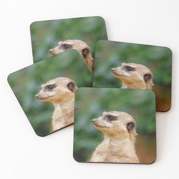 Item preview, Meerkat 060 designed and sold by JAMFoto.