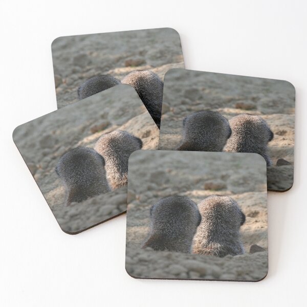 Item preview, Meerkat 061 designed and sold by JAMFoto.