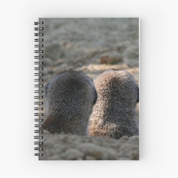 Item preview, Meerkat 061 designed and sold by JAMFoto.