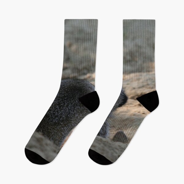 Item preview, Meerkat 061 designed and sold by JAMFoto.