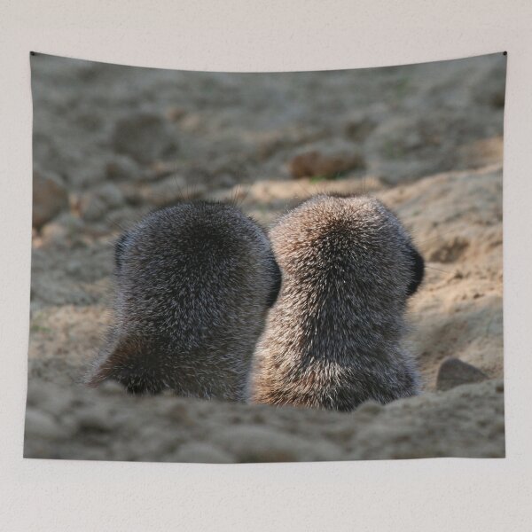 Item preview, Meerkat 061 designed and sold by JAMFoto.