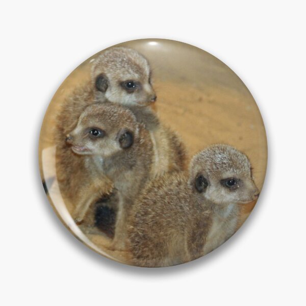 Artikelvorschau, Meerkat 062 entworfen und verkauft von JAMFoto.