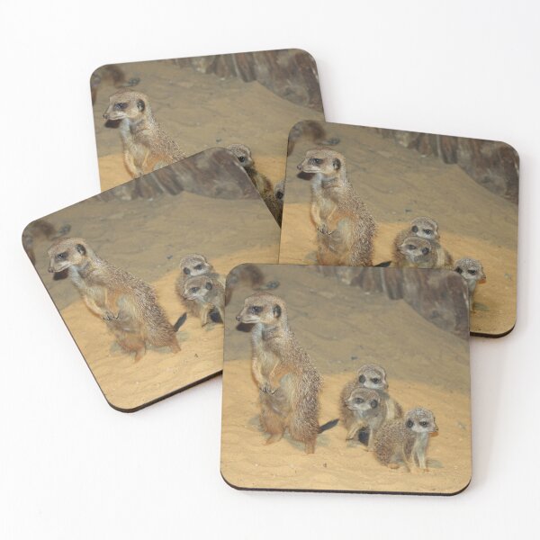 Item preview, Meerkat 062 designed and sold by JAMFoto.