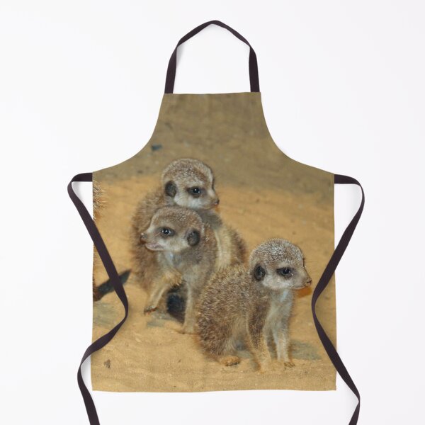 Artikelvorschau, Meerkat 062 entworfen und verkauft von JAMFoto.