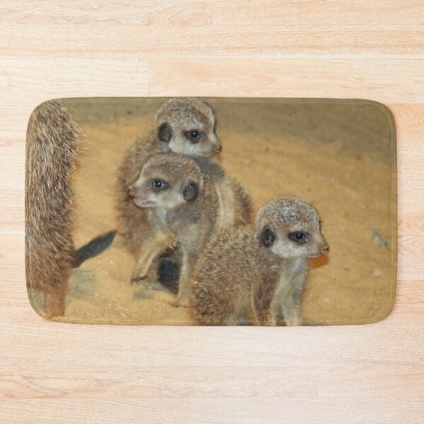 Item preview, Meerkat 062 designed and sold by JAMFoto.