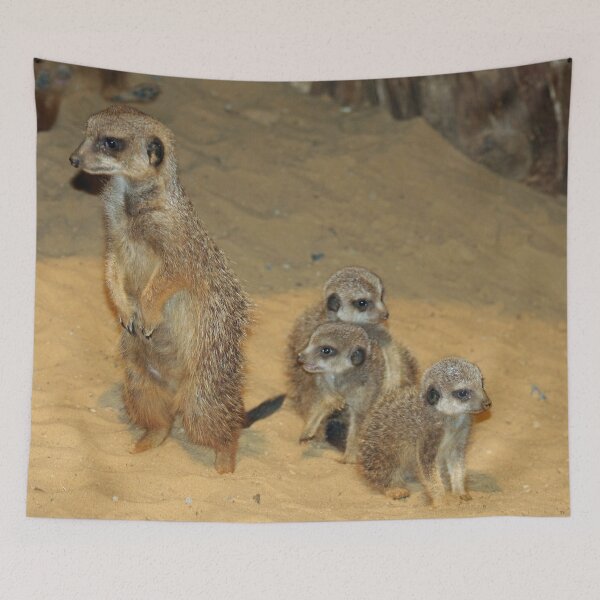 Item preview, Meerkat 062 designed and sold by JAMFoto.