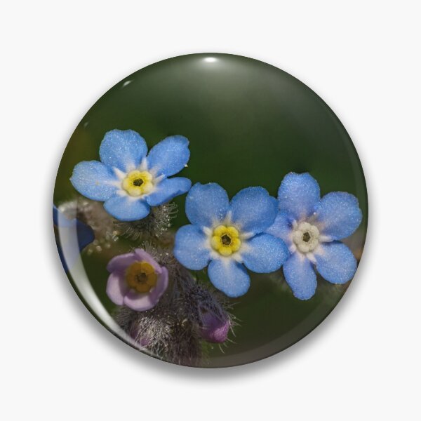 Item preview, Wild forget-me-nots designed and sold by gelibolu.
