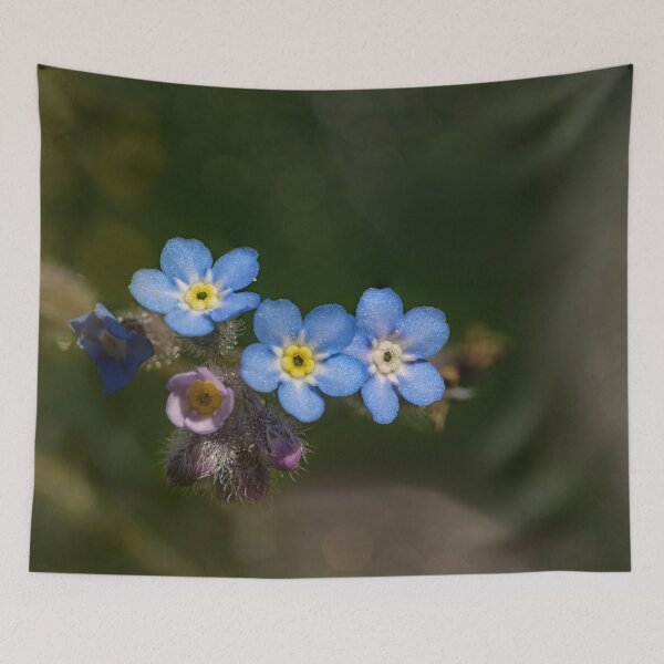 Item preview, Wild forget-me-nots designed and sold by gelibolu.