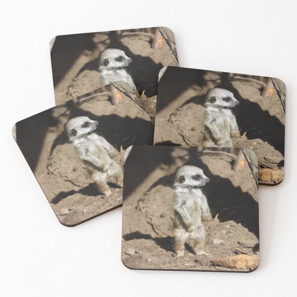 Item preview, Meerkat 063 designed and sold by JAMFoto.