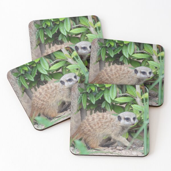 Item preview, Meerkat 065 designed and sold by JAMFoto.