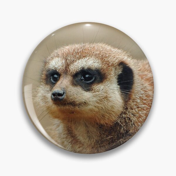 Artikelvorschau, Meerkat 066 entworfen und verkauft von JAMFoto.