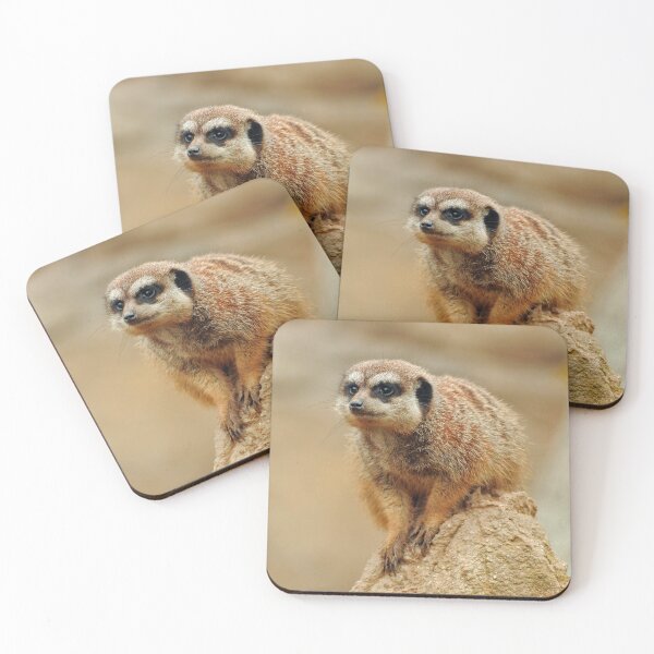 Item preview, Meerkat 066 designed and sold by JAMFoto.