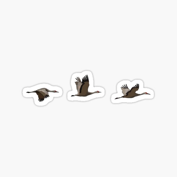 Flying Sandhill Cranes Sticker