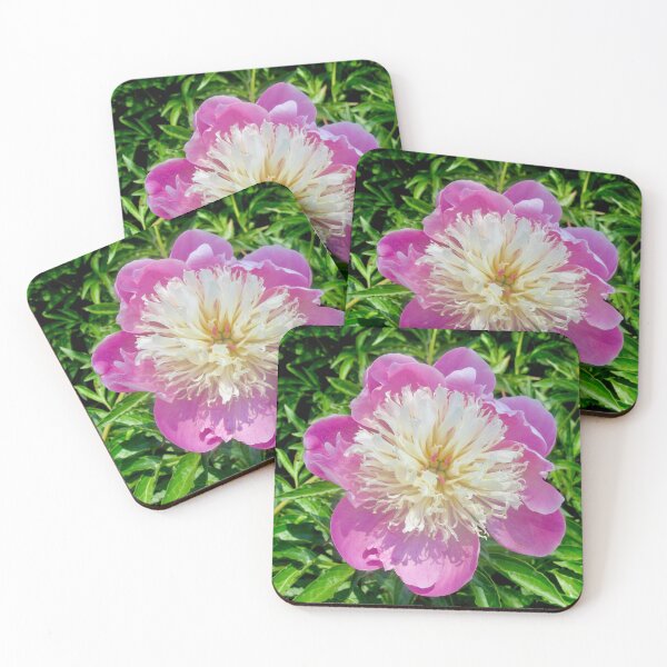 Item preview, Pink Peony designed and sold by Shulie1.
