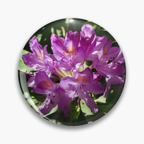 Artikelvorschau, Rhododendron rosa Blume entworfen und verkauft von AgnesPerry2020.