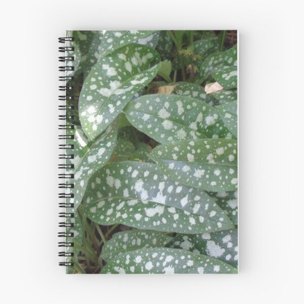 Item preview, Dappled designed and sold by GardenArtworks.