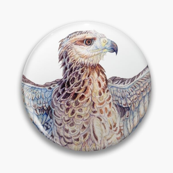Artikelvorschau, Volleyball Hawk #18 - Juvenile Great Black Hawk entworfen und verkauft von R.A. Faller.
