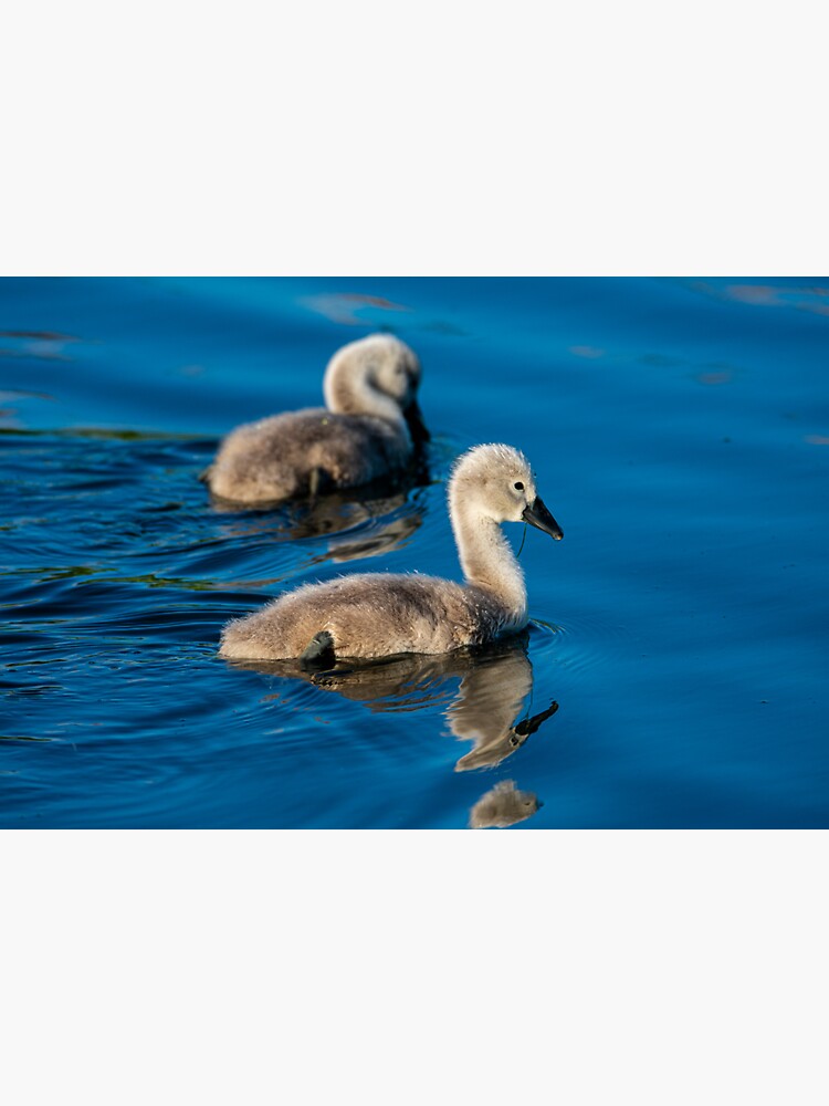 In The River" Sticker for Sale by LeeCarman Redbubble