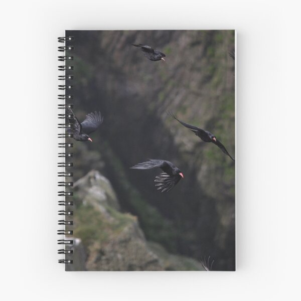Item preview, Flying choughs designed and sold by manxbirdrehab.