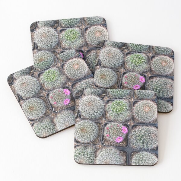 Item preview, pio designed and sold by Coconuts20.