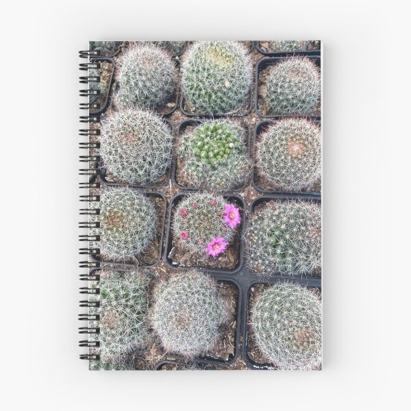 Item preview, pio designed and sold by Coconuts20.