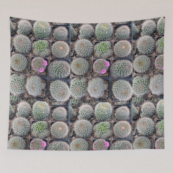Item preview, pio designed and sold by Coconuts20.