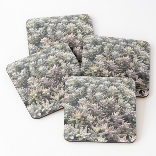 Item preview, tatis designed and sold by Coconuts20.