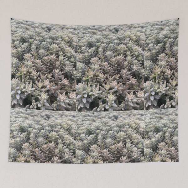 Item preview, tatis designed and sold by Coconuts20.