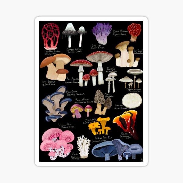Mush love Sticker