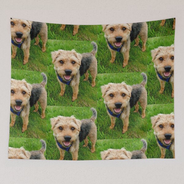 Item preview, Where's my brother? designed and sold by DonnaMolyneux.