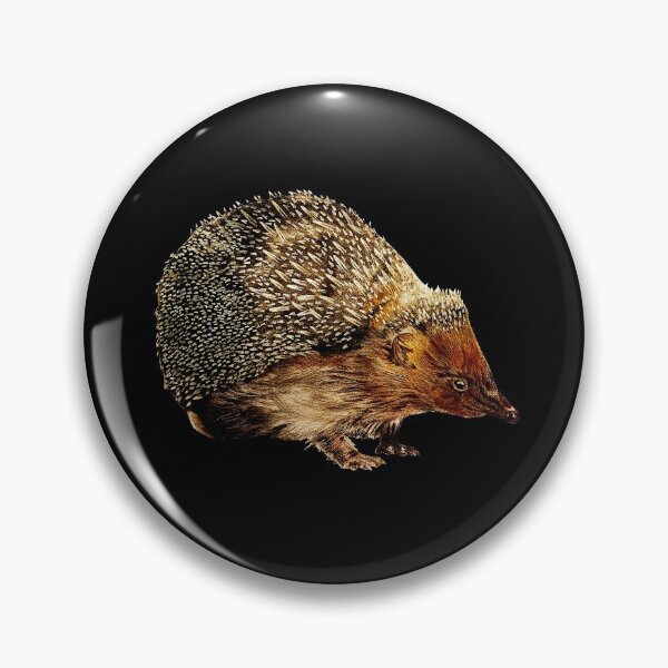 Item preview, The Friendly Garden Hedgehog designed and sold by ChrisAnimalArt.