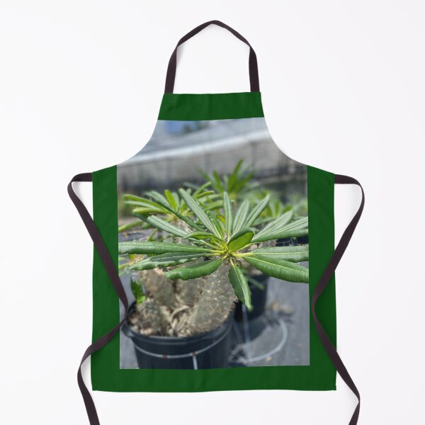Item preview, almendra designed and sold by Coconuts20.
