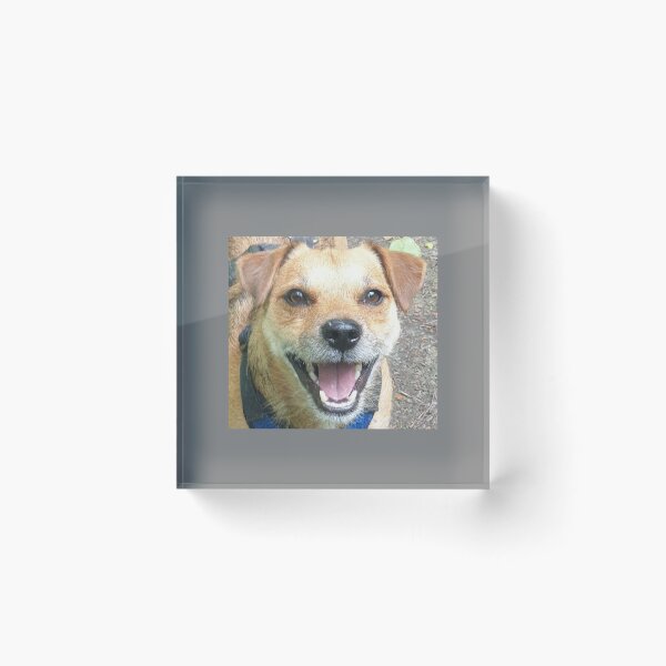 Item preview, Here i am !!!! designed and sold by DonnaMolyneux.