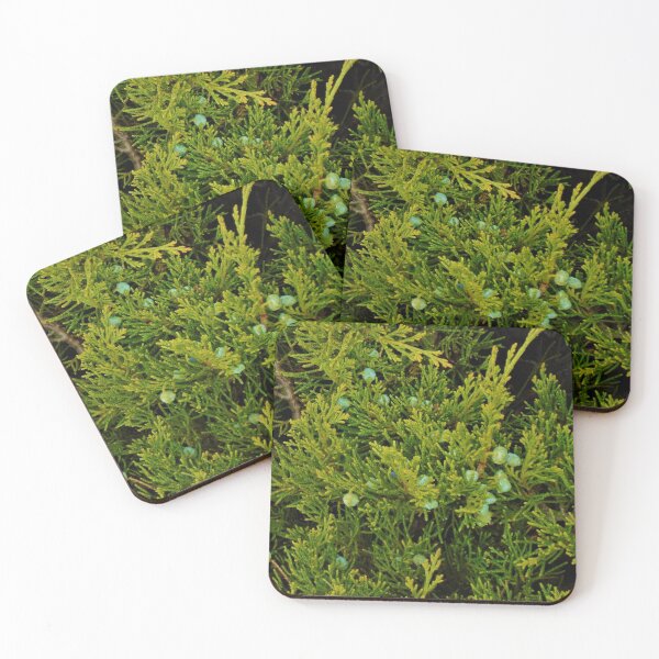 Item preview, Evergreen Juniper Tree Branches And Berries Photo Fabric Pattern Horizontal designed and sold by H3designs.