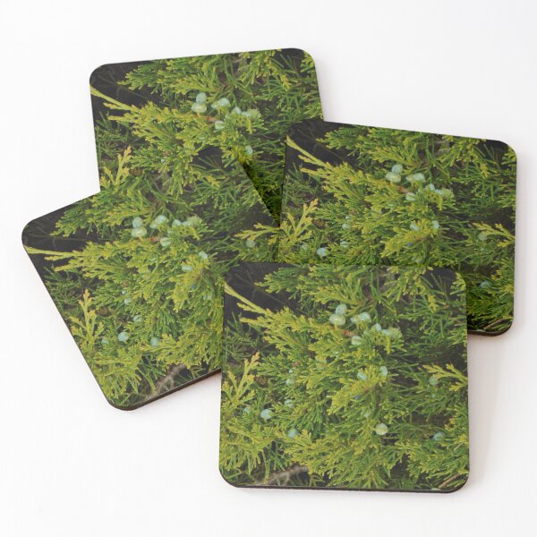 Item preview, Evergreen Juniper Tree Branches And Berries Photo Fabric Pattern Vertical designed and sold by H3designs.