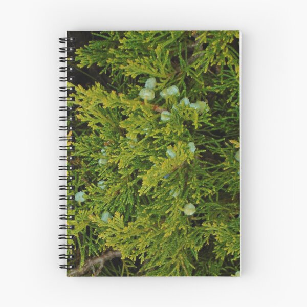 Item preview, Evergreen Juniper Tree Branches And Berries Photo Fabric Pattern Vertical designed and sold by H3designs.