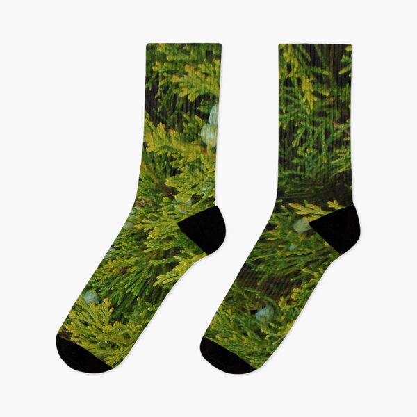 Item preview, Evergreen Juniper Tree Branches And Berries Photo Fabric Pattern Vertical designed and sold by H3designs.