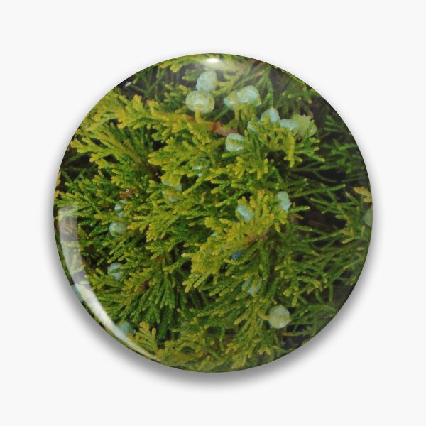 Item preview, Evergreen Juniper Tree Branches And Berries Photo Fabric Pattern Vertical designed and sold by H3designs.