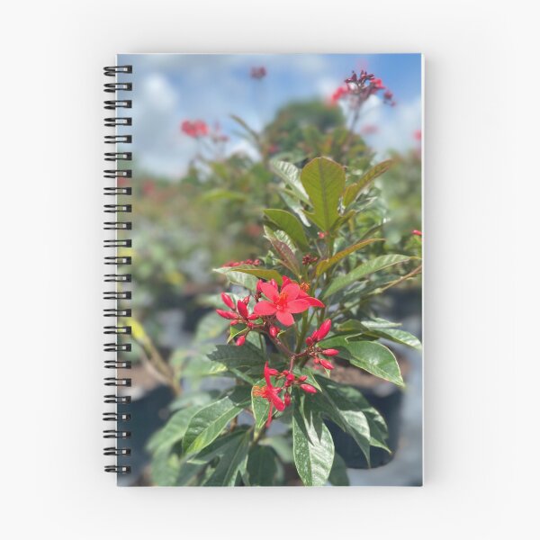 Item preview, flor roja designed and sold by Coconuts20.