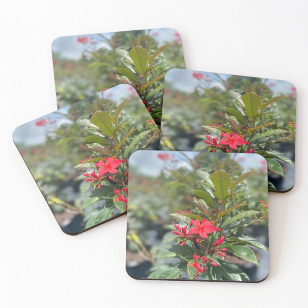 Item preview, flor roja designed and sold by Coconuts20.