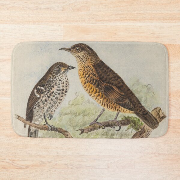 Item preview, Ceylon Thrush And Spotted Thrush designed and sold by laguitan10.