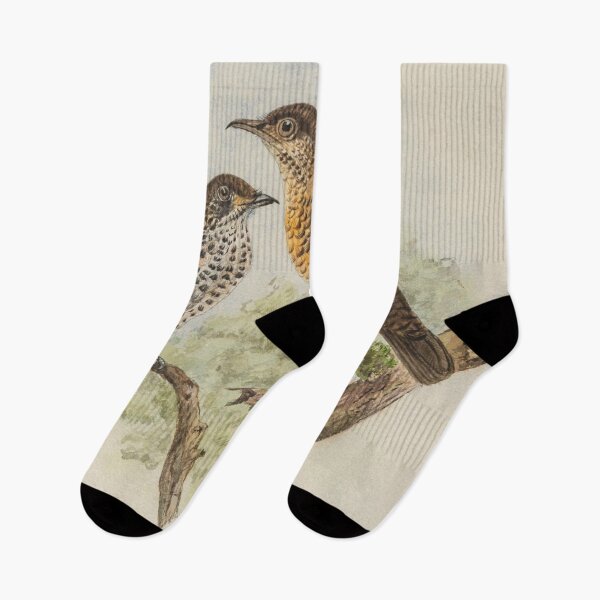 Item preview, Ceylon Thrush And Spotted Thrush designed and sold by laguitan10.